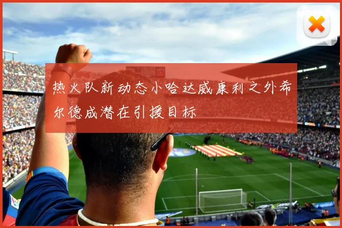 热火队新动态小哈达威康利之外希尔德成潜在引援目标