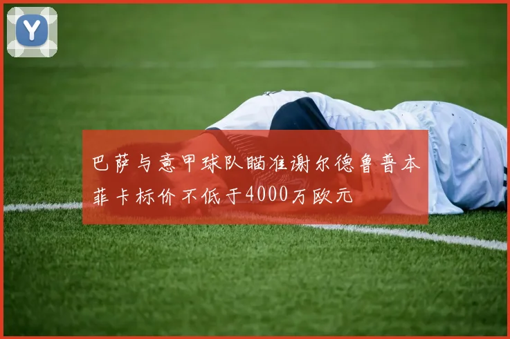 巴萨与意甲球队瞄准谢尔德鲁普本菲卡标价不低于4000万欧元